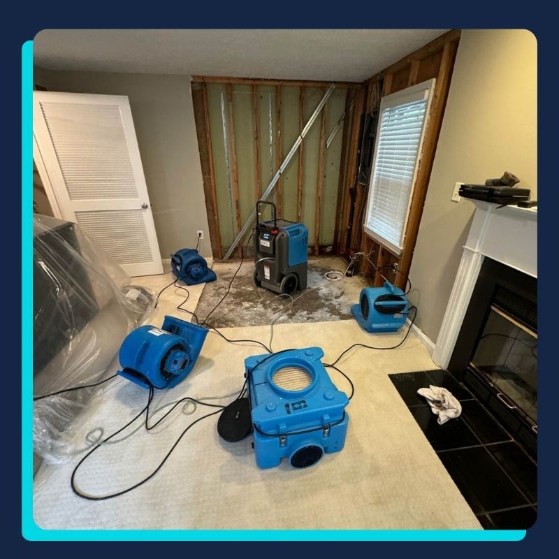 Restoration And Cleaning Franchise Model